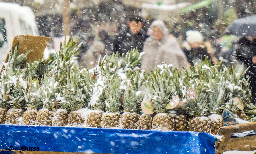 Pineapples in a Snowstorm