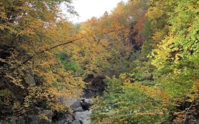 Off the Beaten Path on Uludag