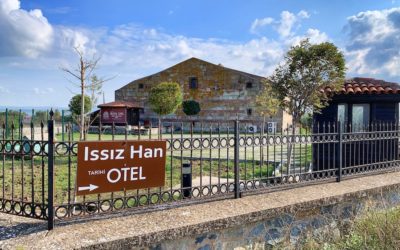 Inns of the Ancient Silk Road: Issız Han